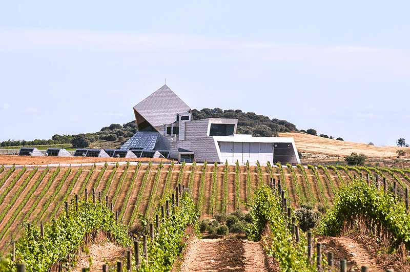 Somontano - Spaanse DO met cultuur en innovatie