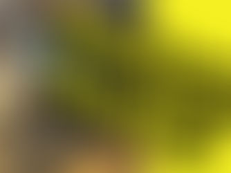 Gitaarpedalen checken bij Paul Lenders