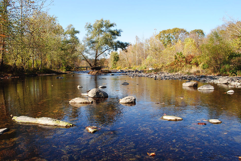 Brodhead Creek Park