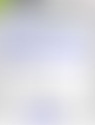 Zenfone 5 ("Erro" Camera não encontrada)