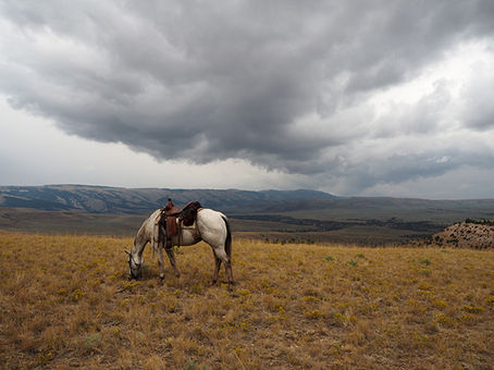 eastcoast living & wild west