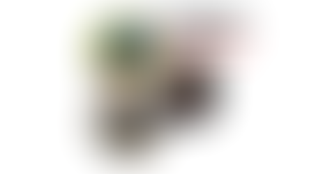 Elliptical, Stairmaster or Walking: Which Is Best for Weight Loss?