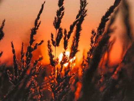 İmkansız Olan İmkanlı