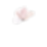 Pastel Pink Grey Gold Elegant Watercolour Spring Instagram Post Kopie.png