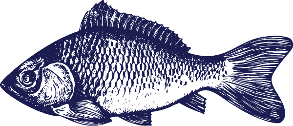 fish-swell-lowres_edited.png