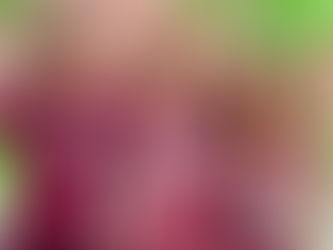 Conheça Harvard University