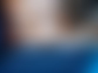 Entity Audit Rate Comparison