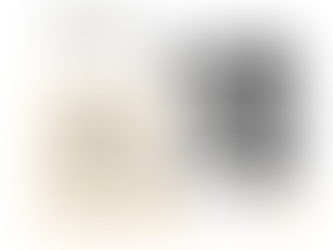 Construction QuickBooks: What is the difference between Expenses and Items tab?