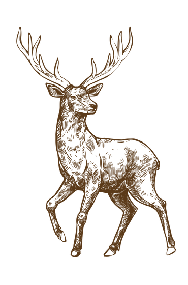 Green Organic Warm Food and Restaurant Bio-Link Website (24).png