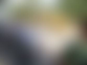 Inicia Alma Laura Amparán más obras de pavimentación