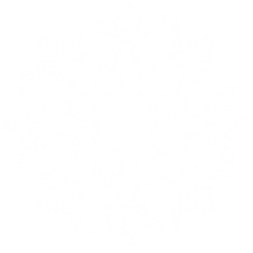 IMG_9102.PNG