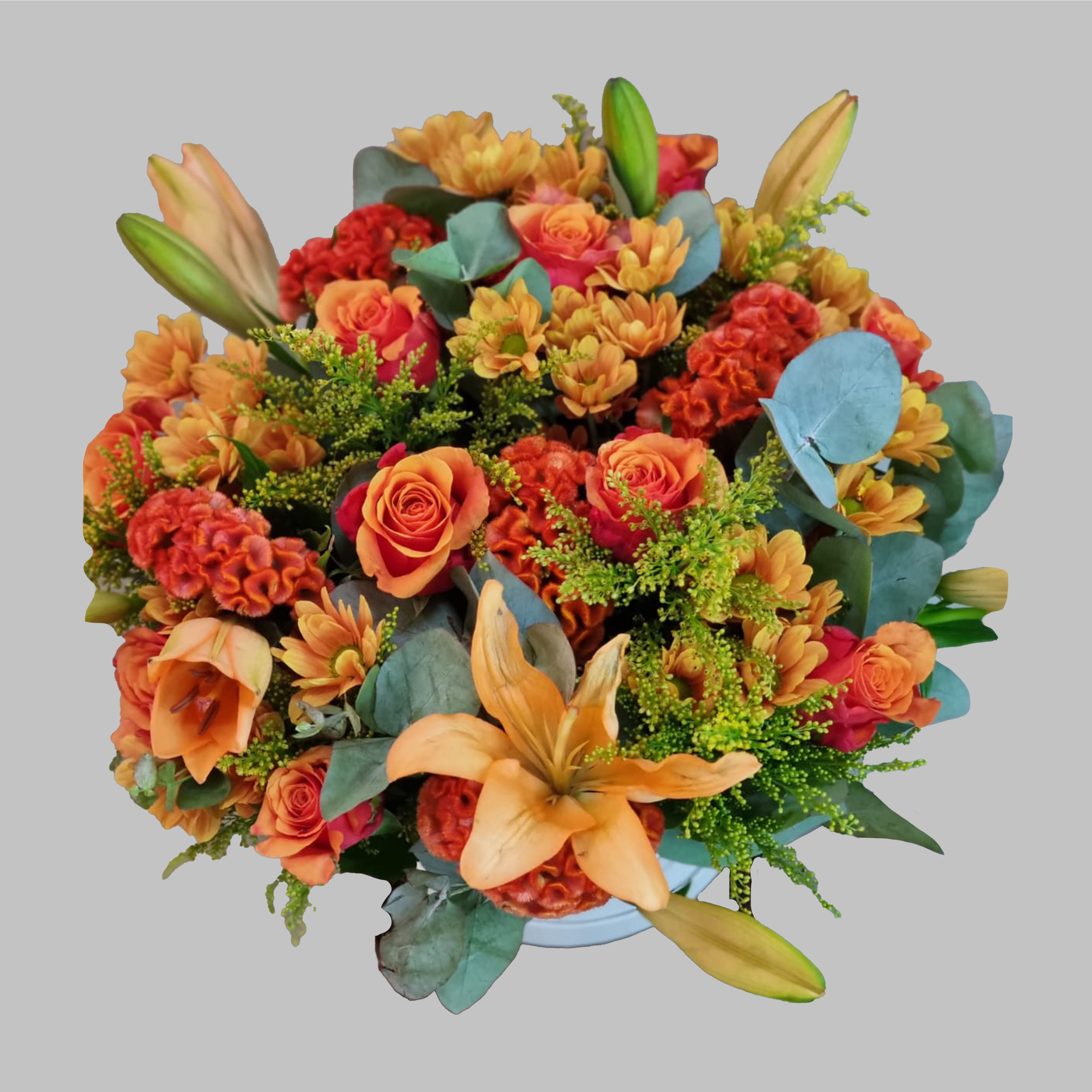 Citrus Burst