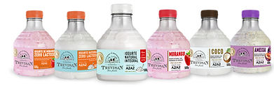 Linha de iogurtes 500g.png