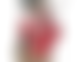 Mechtrace: Redefining Efficiency with Advanced Wet Dal Grinding Solutions