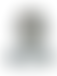 Mechtrace: Redefining Snack Manufacturing with Advanced Potato Wafer Processing Solutions