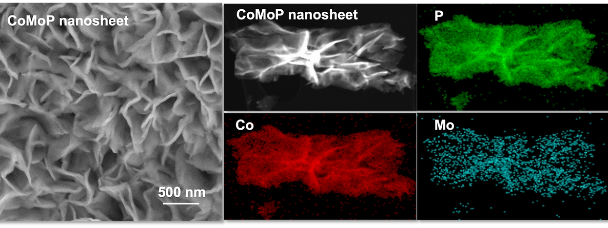 Our technology_CoMoP nanosheet_1_edited.png