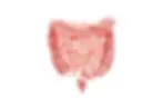 sibo.webp