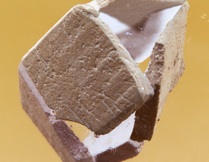 FutureFood04.jpg