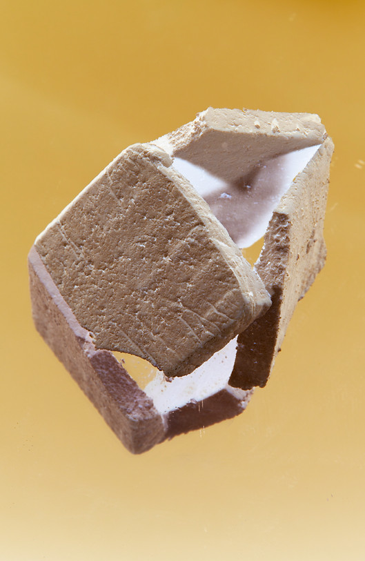 FutureFood04.jpg