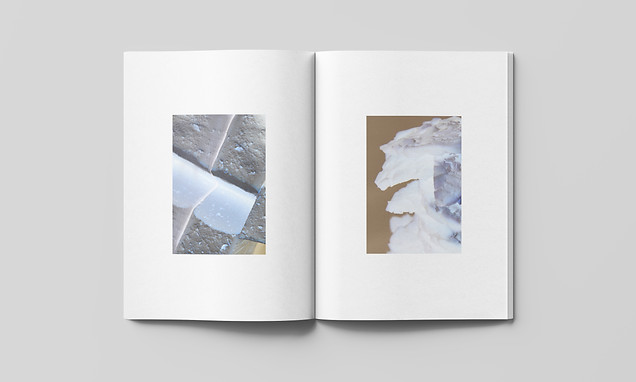 FutureFood_Mockup11.jpg