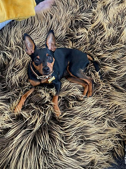 284908474_10227811593298613_415242530642