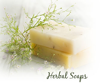 herbalsoaplg.jpg