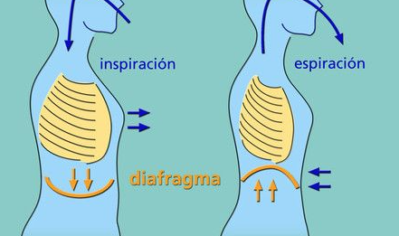Respirar bien para moverse mejor: el poder de la respiración diafragmática en Pilates