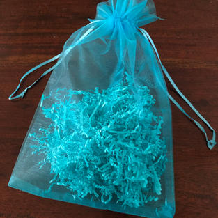 Gift bag_empty.jpeg