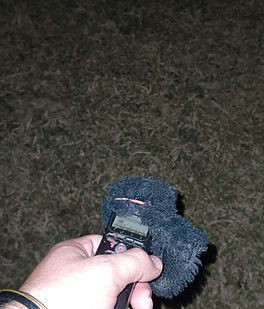 IMG_20250318_193757258.jpg