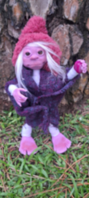 The Elf of Magical Wishes