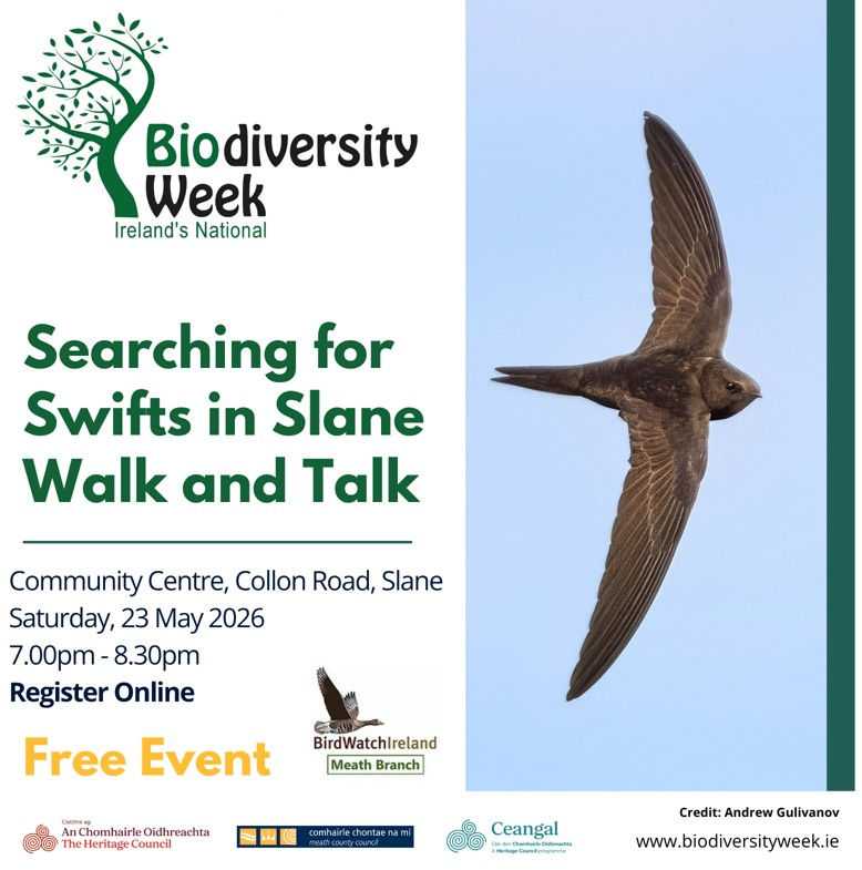 Swift in Slane Walk and Talk