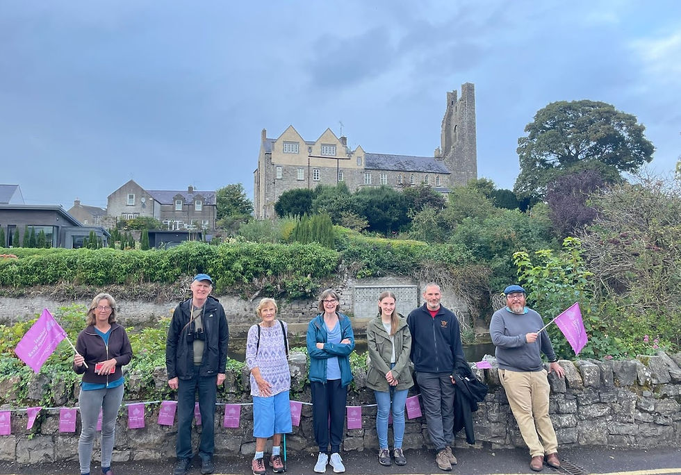 Heritage Week Event: Sand Martin send-off
