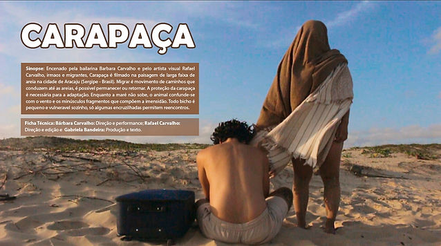 carapaca.jpeg