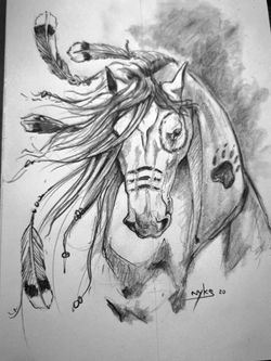 cheval indien