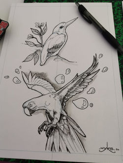 oiseaux exotiques