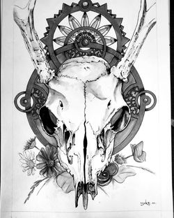 crâne de cerf