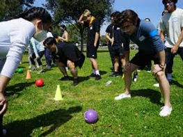 blind retriver 1.jpeg