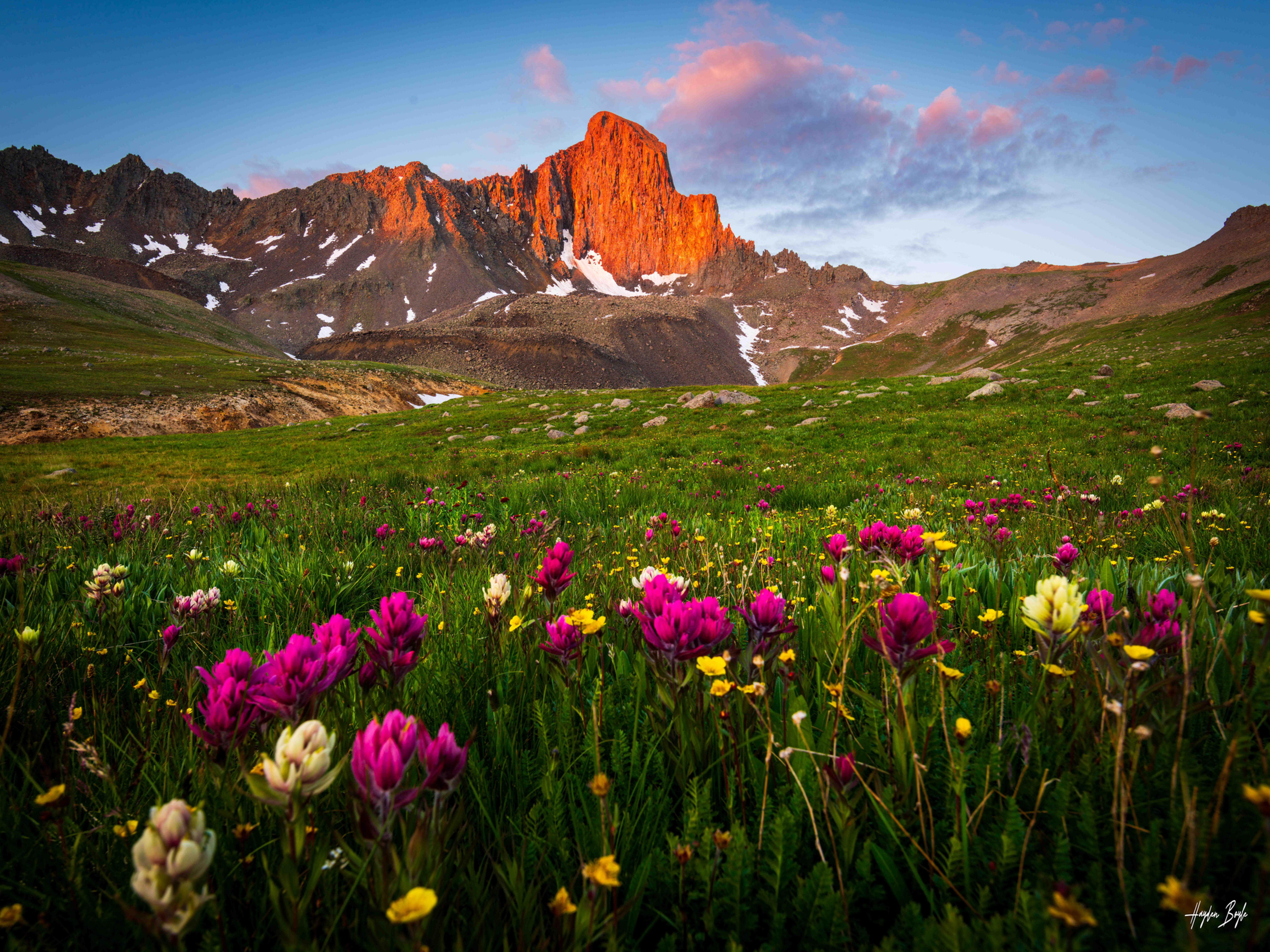 Wetterhorn Paintbrush Sunrise