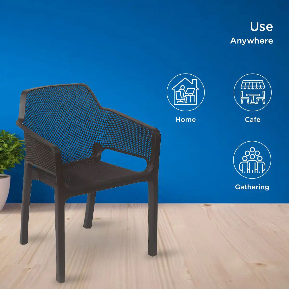 Captain Arm Chair (Season Rust Brown)