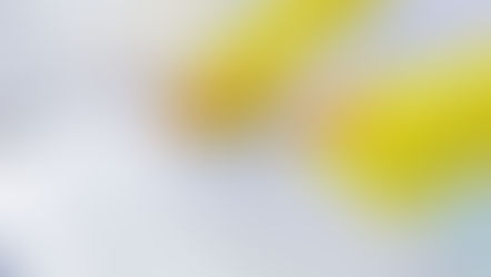 Limpeza de banheiros gera direito adicional de insalubridade?