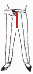 21.gif