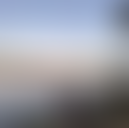 「 雙城記 ｜Bushwalking 3KM｜粉紅色的傍晚 」