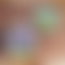 「 Daily Gratitude Practice ｜中秋 」