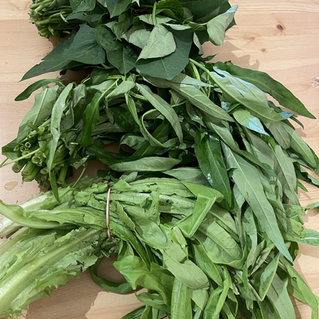 「 雙城記 |直播完隔天 |到Eastwood備年菜 |今年比去年少了一半以上的熱鬧 |直播你聽了嗎? 」