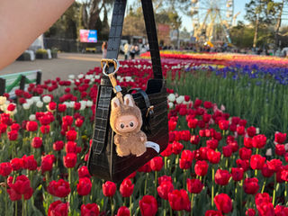 把想要的美好带到生命里