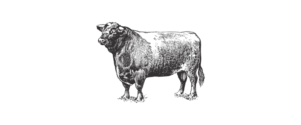 butchers_web_cow3.png