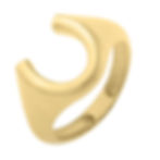 Horseshoe Ring in 14K Yellow Gold