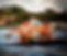 Untitled-291_edited.png