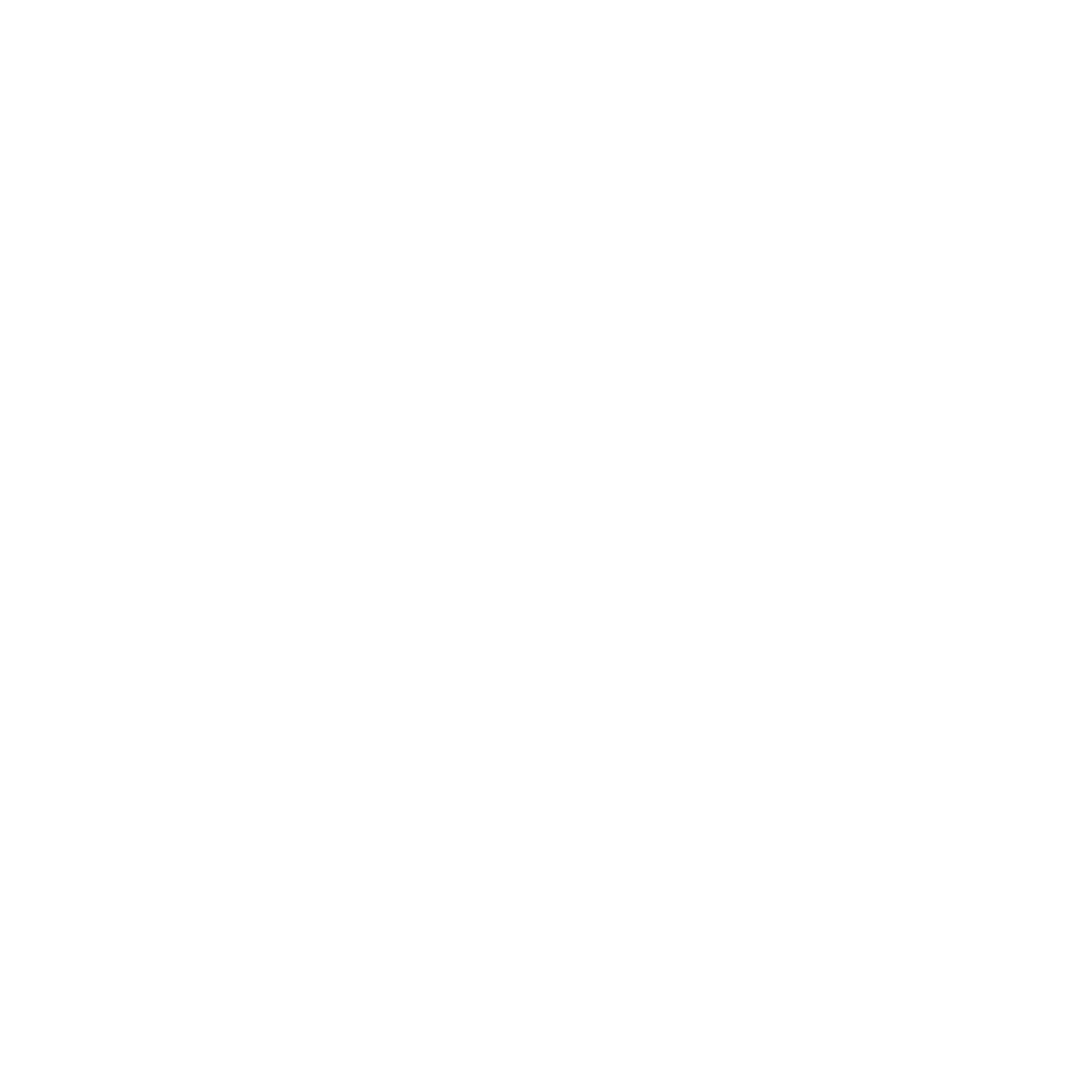 DSL Utilities Logo (White No Background).png