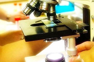 In-House Laboratory
